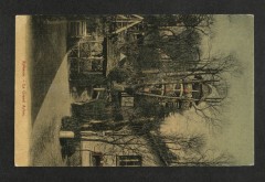 Robinson - Le Grand Arbre au Plessis-Robinson