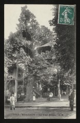 Robinson - Le Vrai Arbre au Plessis-Robinson