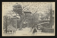 Carte postale ancienne Robinson - Le Vrai Arbre
                                                                     au Plessis-Robinson
                                
