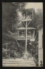 Carte postale ancienne Le Plessis-Robinson Le Gros Chataignier
                                                                     au Plessis-Robinson
                                