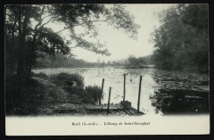 L'Etang de Saint-Cucufa à Rueil-Malmaison