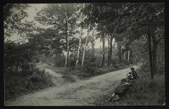 Allée des Bouleaux à Rueil-Malmaison