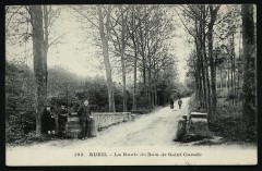 La Route du Bois de Saint-Cucufa à Rueil-Malmaison