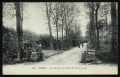 La Route du Bois de Saint-Cucufa à Rueil-Malmaison