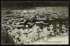 Etang de St-Cucufa - Clair de lune (Vue artistique) -
																					92500 Rueil-Malmaison
																			