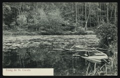 Etang de St-Cucufa à Rueil-Malmaison