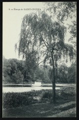 Etangs de Saint-Cucufa à Rueil-Malmaison