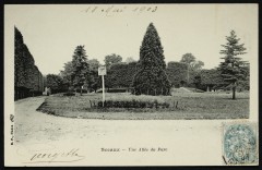 Carte postale ancienne Une Allée du Parc
                                                                     à Sceaux
                                