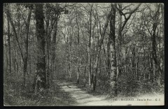 Dans le Parc à Saint-Cloud