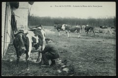 Laiterie du Haras de la Porte Jaune à Saint-Cloud