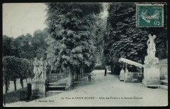 Carte postale ancienne Parc de Saint-Cloud - Allée des Tillets a la Grande Cascade
                                                                     à Saint-Cloud
                                
