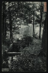 Villeneuve-L'Etang. Les Sources de l'Etang -
																					92210 Saint-Cloud
																			