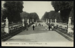 Le Parc. - Le Parterre de l'Orangerie à Saint-Cloud