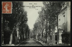 Parc de Saint-Cloud-Montretout - Une Allée à Saint-Cloud