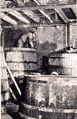 Foulage aux pieds dans le Val de Loire
