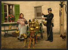 Laitiere Bruxelloise-LCCN2001697923