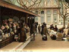 Cannes le marché aux fleurs en 1915 à Cannes