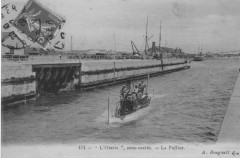 Otarie3-Bougault