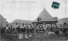 Ferme du Moulin à vent Rosnay