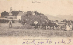 Cp St Michel sur Meurthe 20 -
													88 Vosges
												
