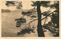 Toulon-Cp-anté40-37 -
													83 Var
												