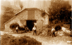 Aubignosc distillerie de lavande 1920