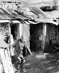 Cabane de berger en alpage en Haute-Provence