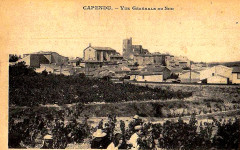 Aude Capendu vendanges