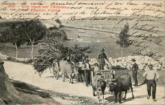 Aveyron - Route de l'Aubrac -
													12 Aveyron
												