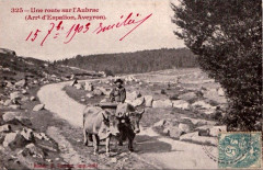 Aveyron - Une route dans l'Aubrac -
													12 Aveyron
												