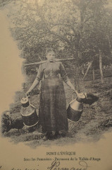 Laitière calvados