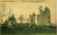 Vieux Château Carbonat -
													15 Cantal
												