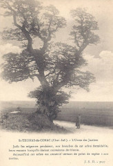 Image47 samll -
													17 Charente Maritime
												