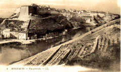 Vignobles de Bonifacio