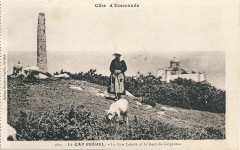 Côte d'Emeraude-Fr-22-Cap Fréhel-1