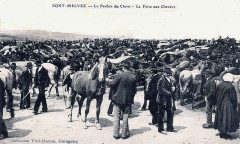 Pont-Melvez foire aux chevaux