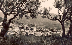 Nyons à travers les oliviers -
													26 Drôme
												