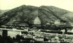 Tain Coteau de l'Hermitage -
													26 Drôme
												