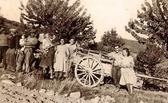 Vendanges au Pouzet à Saint-Auban-sur-Ouvèze -
													26 Drôme
												