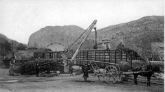 CartePostale1905BambousGareAnduze