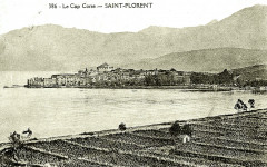 Cap corse Vignoble de Saint-Florent -
													2B Haute Corse
												