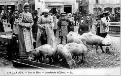 Le Puy Les cochons un jour de foire -
													43 Haute Loire
												