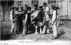 Malroy 73045
