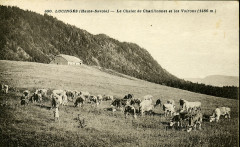 Chalet Châtillonnet vers 1922