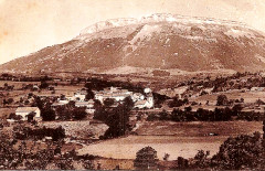 Neffes vignes