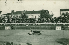 Landes - Courses Landaises 5