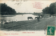 Landes - Rives de l'Adour b