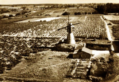 Thouarcé Moulin et vignes vue aérienne -
													49 Maine et Loire
												