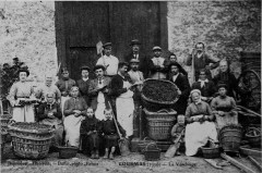 Courmas vendanges 8550 -
													51 Marne
												