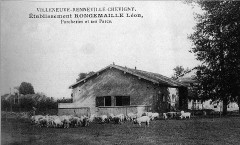 Cp 07874 Villeneuve Renneville Chevigny